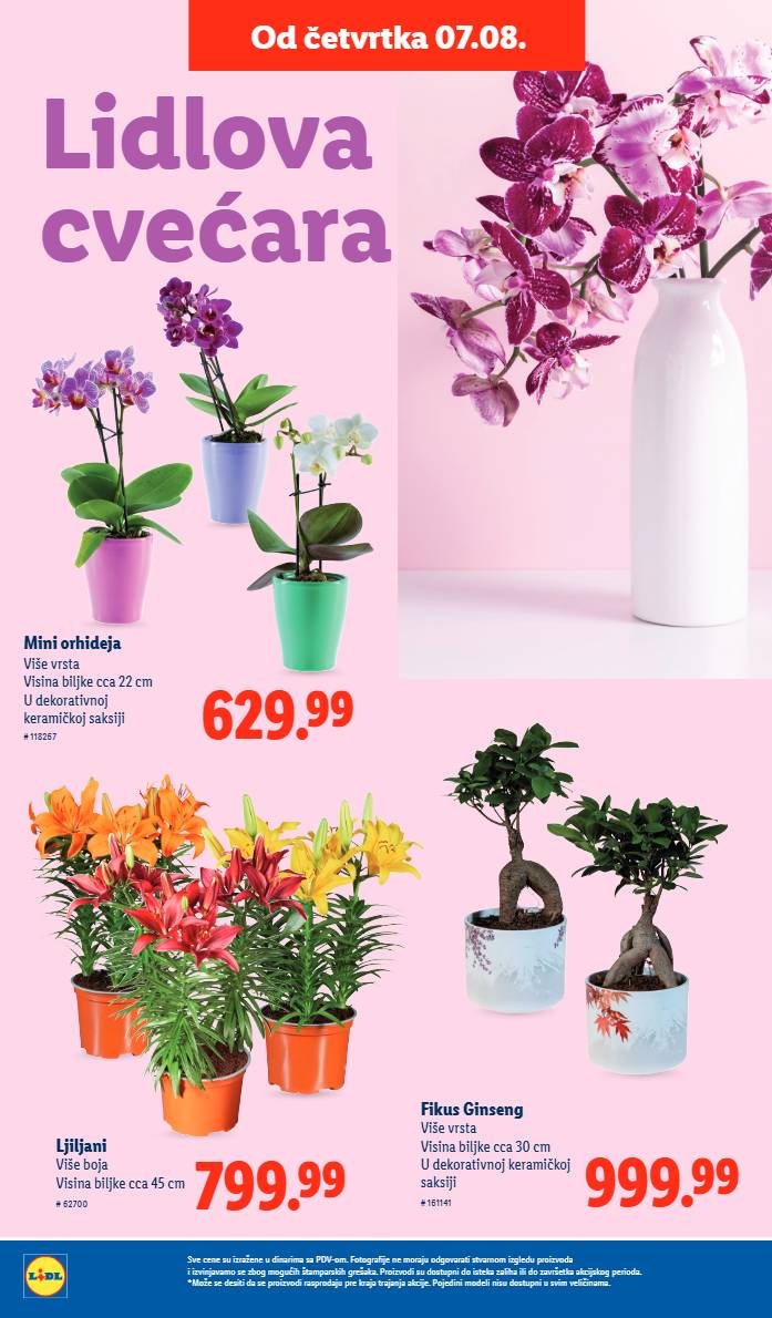LIDL akcija sad – Strana 44