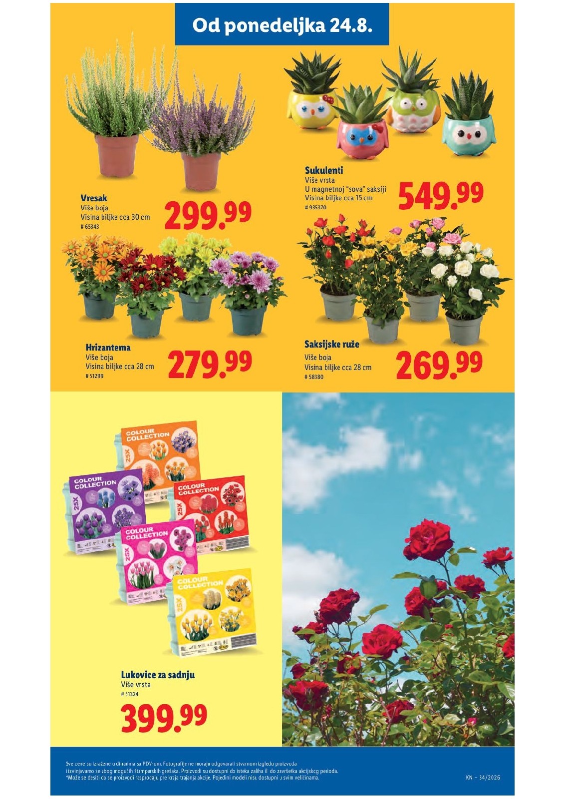 Lidl katalog akcija strana 79 – važi od 20.8. do 26.8.2026.