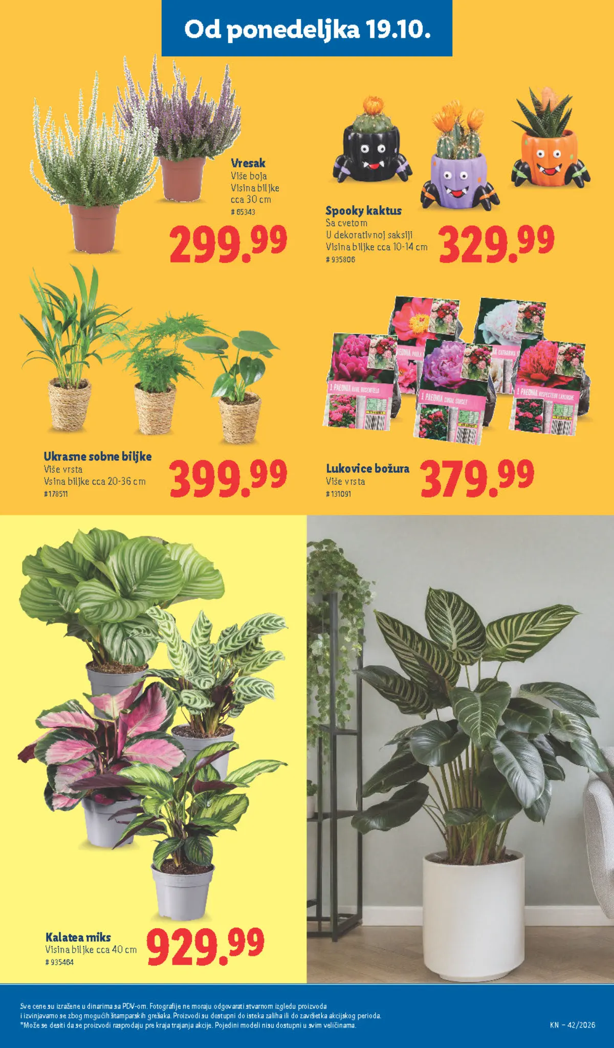 Lidl katalog akcija strana 67 – važi od 15.10. do 21.10.2026.