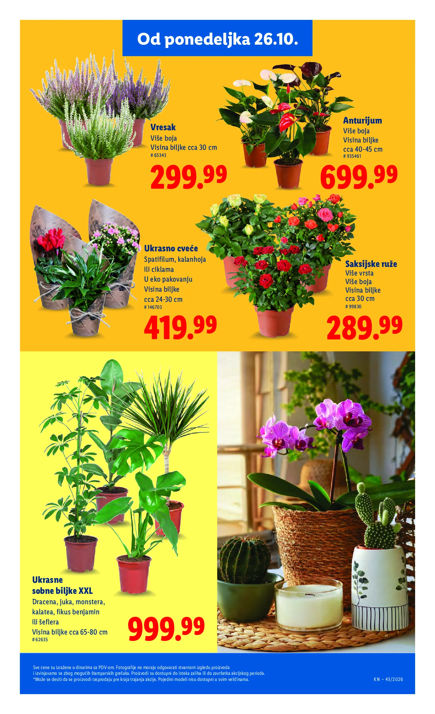 Lidl katalog akcija strana 71 – važi od 22.10. do 28.10.2026.