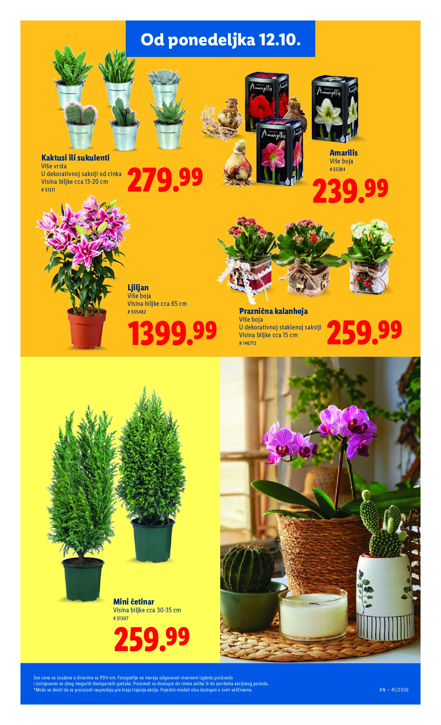 Lidl katalog akcija strana 73 – važi od 8.10. do 14.10.2026.